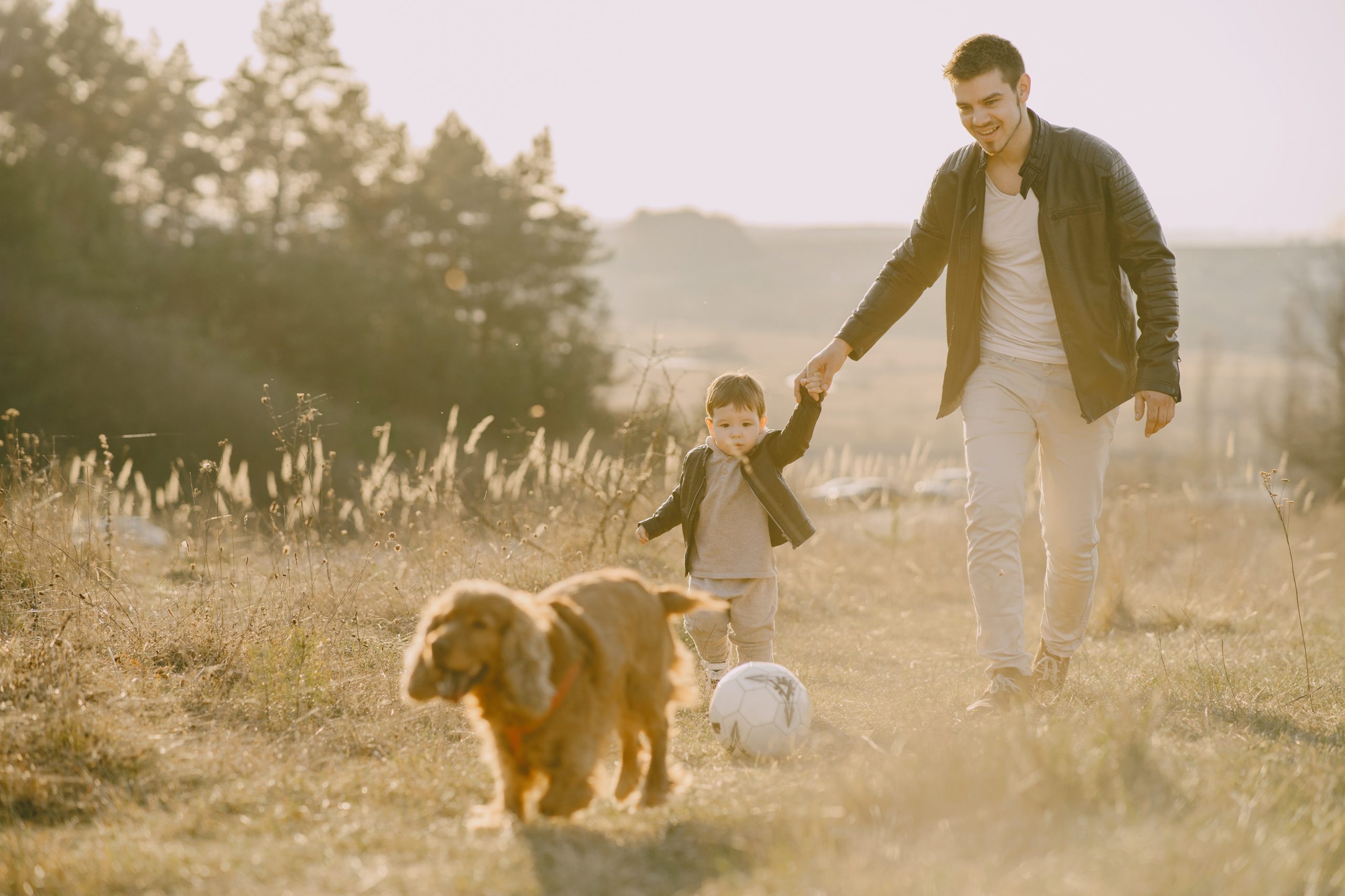 Blog - photo-of-man-holding-his-child-while-walking-on-grass-field-4148847