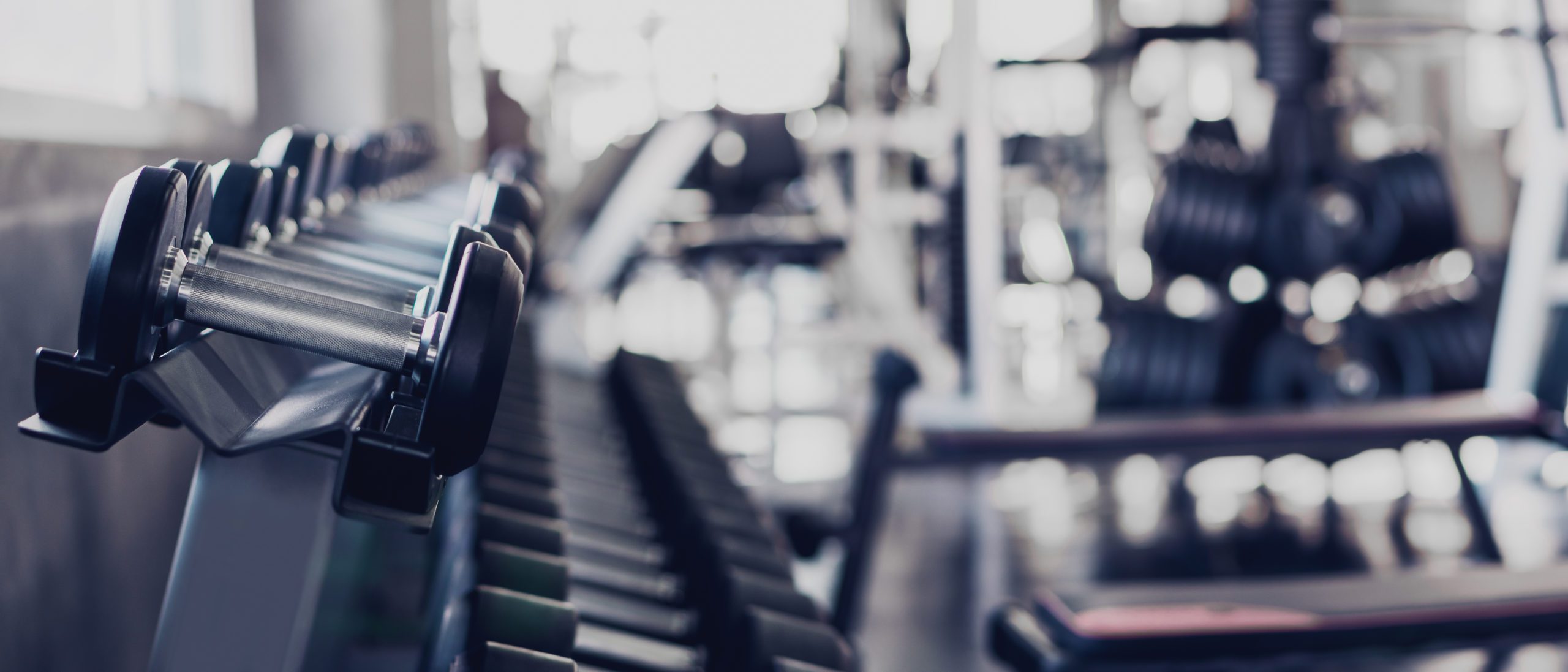 Blog - gym interior background of dumbbells on rack in fitness and workout