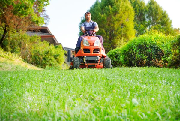 Blog - Gardener driving a riding lawn mower in garden