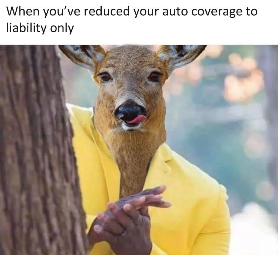 Dark Insurance - Silly Image of a Deer Taking Advantage of Driver With Minimal Auto Insurance Coverage