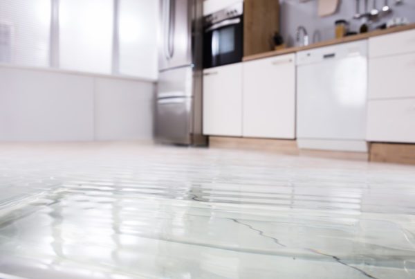 Blog Post - Vacation Nightmare