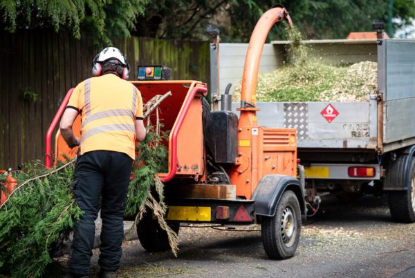 Blog Post - Woodchippers