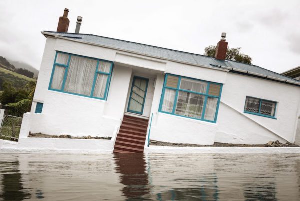 Blog Post - Catastrophe