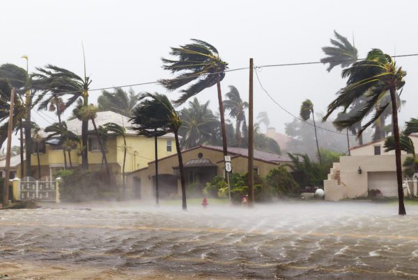 Blog Post - Hurricane Wind Risks