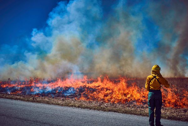 Blog - Firefighter Standing in the Road While Watching a Wildfire on the Side of the Road and Smoke is Rising into the Sky